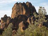 Pinnacles 024